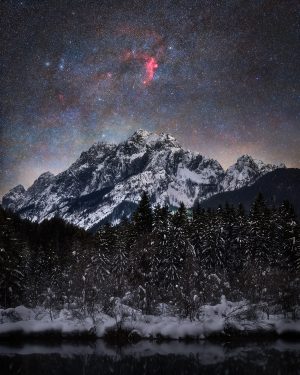 Seagull above the Mountains