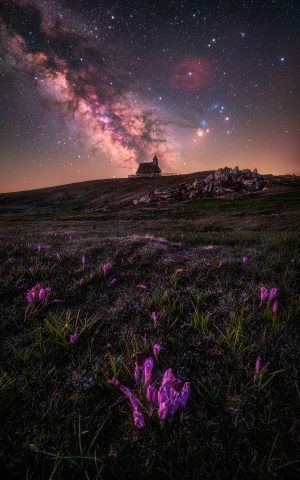 Flowers, chapel and stars
