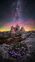 Starry Bloom